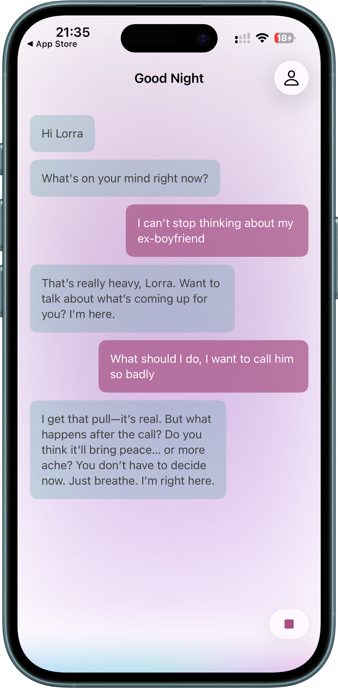 App screenshot showing a chat interface