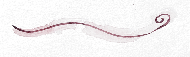die Vorstellung, die nachlässt